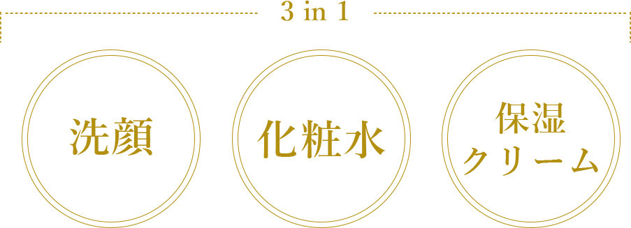 3 in 1
