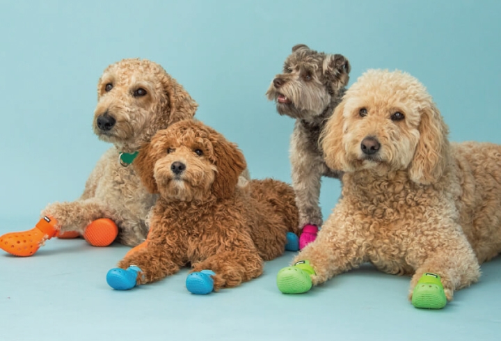 WAGWEAR